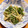 赤蜻蛉's cooksnap of when they made 水菜とえのきのシャキシャキ煮びたし.