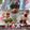 クック3VG036☆'s cooksnap of when they made ひな祭り*３色寒天.