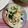 ぽむぽむ★☆'s cooksnap of when they made 大根ナムル(メモ).