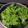 メリッサ＊'s cooksnap of when they made お家で簡単！焼肉屋さんのチョレギサラダ♪.