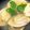 やえまりも's cooksnap of when they made はまぐりの潮汁☆ひな祭りに.