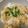 ☆1026りぃ☆'s cooksnap of when they made ササミのカツ丼.