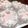 クックEHSYXL☆'s cooksnap of when they made 超簡単☆ゼラチンで固める牛乳プリン.