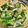 ニャオリ's cooksnap of when they made シャキシャキ野菜と蒸し鶏のザーサイ和え.