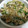 由芽15's cooksnap of when they made たっぷりニラとシメジの豚胡麻炒め.