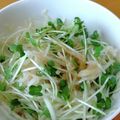 nrmaman's cooksnap of when they made ♡大根とカイワレのおかかサラダ♡.