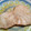 Ａオリゼー's cooksnap of when they made もろの煮付け(煮魚)　地域限定ですか?.