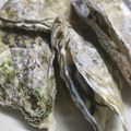 ２４なるるん's cooksnap of when they made レンジで簡単！蒸しガキ.