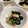 CHISA☆ごはん♪'s cooksnap of when they made ささっと＊エリンギとわかめ炒め＊.