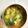 ☆ミルミル's cooksnap of when they made お豆腐とカイワレのお吸い物♪.