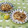 みかかめ's cooksnap of when they made 舞茸とちくわのきんぴら.