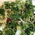 ぱなきん's cooksnap of when they made 話題のケールで生ケールのマリネサラダ.