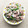 うに＾＾'s cooksnap of when they made ささっとメイン！豚ニラもやし炒め.