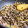 chikappe's cooksnap of when they made めちゃウマ！★野沢菜とひき肉の炒め物★.