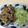 げんき1115's cooksnap of when they made 時短！濃い味！ごはんがすすむ豚の生姜焼き.