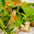 ゆっくん1129's cooksnap of when they made 三つ葉としめじのおひたし.