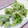 くりくりーん's cooksnap of when they made 初めて作る♪ふきのとうの天ぷら.