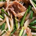 m11m11's cooksnap of when they made 新玉ねぎ入り♪豚ニラもやしの醤油炒め.