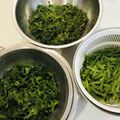 ぷーちゃんmama's cooksnap of when they made 生メカブ 簡単に千切りする方法.