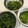 ぷーちゃんmama's cooksnap of when they made 生メカブ 簡単に千切りする方法.