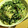 ゆかっち230's cooksnap of when they made 青のりとしらすの和風ペペロン.
