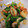 morinoco's cooksnap of when they made カブと魚介のオイスター炒め！.