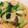 えみらくる's cooksnap of when they made 簡単☆青梗菜ときのこの海苔ナムル.