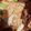 クック766L8K☆'s cooksnap of when they made うちのキムチ鍋♪.