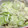 りりこ☆彡's cooksnap of when they made レンジで簡単☆中華風蒸し鶏.