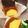 Kiraki_'s cooksnap of when they made カラメルプリンパウンドケーキ.