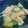 井倉たろう's cooksnap of when they made ブロッコリーと貝柱のネギ塩 黒胡椒炒め.