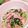 クックCXT3N4☆'s cooksnap of when they made ほうれん草とベーコンのクリームパスタ.