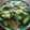ういき☆彡's cooksnap of when they made ∮とろりん♥青梗菜とコーンの中華炒め∮.