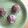 みるく茶's cooksnap of when they made バレンタインに。友チョコ★HMマフィン！.