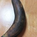 ひめさん☆'s cooksnap of when they made バナナを長持ちさせる方法♪.
