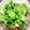 milestone★'s cooksnap of when they made 新野菜！プチヴェールのごま和え.