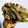 サッチー☆★'s cooksnap of when they made 白ねぎと椎茸のバターじょうゆ炒め.