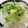 あい♪らんど's cooksnap of when they made 白魚丼！.