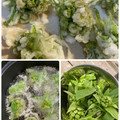 yu228's cooksnap of when they made ふきのとうの天ぷら『きれいに揚げるコツ』.