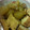 のじまさん's cooksnap of when they made とろとろ～な冬瓜の煮物.