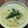 じゃりてん's cooksnap of when they made 朝からタンパク質！タラときのこの雑炊.