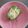 まやっち♡'s cooksnap of when they made ピーマンのツナマヨ詰め！.