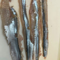 かさちゃ's cooksnap of when they made 初心者向き♪さんまの三枚おろし.