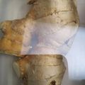 ささささ＆＊'s cooksnap of when they made 鮮度そのまま生姜の保存　（冷蔵編）.