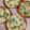 フードセラピー's cooksnap of when they made 餃子の皮de枝豆ミニピザ.