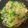 ヴィーナスけい's cooksnap of when they made 【超簡単】豆苗豚肉塩焼きそば【ラード】.