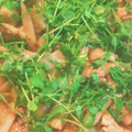 miみゆみゆyu's cooksnap of when they made たっぷりごぼうとなすの豚味噌炒め煮.