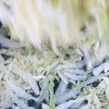 ♡マッキークッキング's cooksnap of when they made 簡単・白菜のピリ辛ラー油ナムル.
