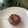 salalasa's cooksnap of when they made ずっしりしっとり濃厚！半生ガトーショコラ.