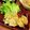 yuki★haru's cooksnap of when they made 柔らか♫鶏ささみのゆかりチーズパン粉焼き.